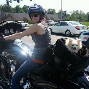 Meet your Posher, Lynn